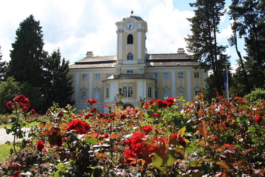 Schlosshotel Rosenau Superior Schloss Rosenau Exterior foto